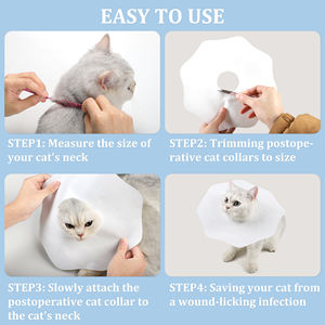<span class=keywords><strong>Collar</strong></span> de cono para perros Cono flexible desechable para perros después de la cirugía <span class=keywords><strong>Collar</strong></span> de recuperación para perros - Product Image 5