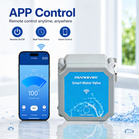 Compteur de débit d'eau intelligent Wifi de haute qualité Tuya Zigbee Vanne d'eau automatique pour système domestique et de jardin