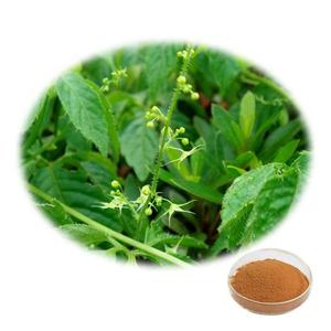 <span class=keywords><strong>Gymnema</strong></span>-<span class=keywords><strong>Extract</strong></span> En <span class=keywords><strong>Gymnema</strong></span> Sylvestre-<span class=keywords><strong>Extract</strong></span> Met <span class=keywords><strong>Gymnema</strong></span>-<span class=keywords><strong>Extract</strong></span> Poeder Voor Natuurlijke Gezondheidssupplementen En Kruidenformuleringen - Product Image 3