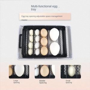 Incubateur automatique 15 œufs, neuf, en PP, pour usage domestique, mini, pour canards, oies, oiseaux, usage général, type valise/œufs - Product Image 4