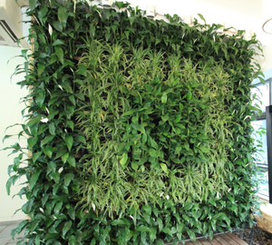 China High Quality Black Vertical Garden Living <b>Wall</b> <b>Planter</b> PP <b>Plastic</b> Modern Indoor Outdoor Draw Type Green <b>Wall</b> Modular - Product Image 6