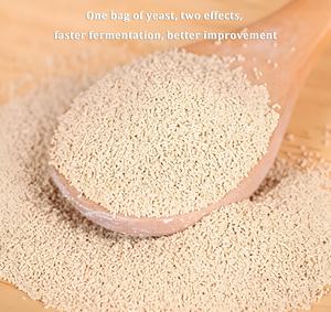 Poudre de levure sèche instantanée super active 500g Fournisseur <span class=keywords><strong>2</strong></span> en <span class=keywords><strong>1</strong></span> pour un ferment plus rapide et une meilleure amélioration de la baguette de pâte à pain - Product Image 2