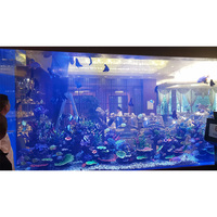 Aquariums en plastique acrylique à prix compétitif, colonnes, aquariums modernes, design océanique, aquariums carrés