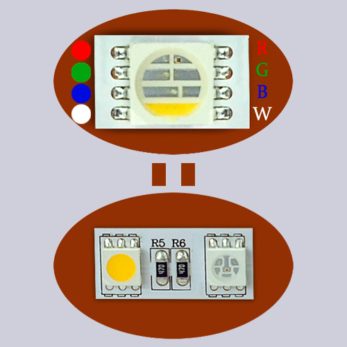 5 Years Warranty RGBW LED Strip Light 5050 4 in 1 60LEDs/m DC12V 24V Waterproof Flexible LED Ribbon for Home & Hotel Decoration