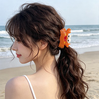 Pince à cheveux en acétate Liwu Support, design créatif personnalisé, motif animal marin de dessin animé, mignon, vente en gros