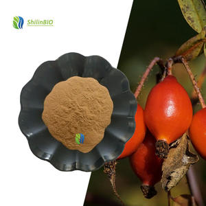 SLBIO fournit <span class=keywords><strong>de</strong></span> l'extrait naturel <span class=keywords><strong>de</strong></span> cynorrhodon, poudre <span class=keywords><strong>de</strong></span> cynorrhodon, 17% 25% <span class=keywords><strong>de</strong></span> vitamine C - Product Image 2