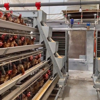 Cages à poules en plastique de qualité assurée, cages à poules pondeuses, poulaillers extérieurs, cages à poules pondeuses, élevage de volailles pour cailles