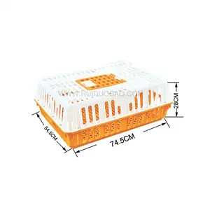 Automatic Portable Plastic Transport Chicken Cages for Poultry Farm New Condition Layer Cages at Competitive Price Chick Use