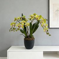 Harga Grosir Murah Dekorasi Meja Desain Interior Anggrek Plastik Bonsai Dekorasi Rumah Kantor Hotel Bunga Anggrek Buatan