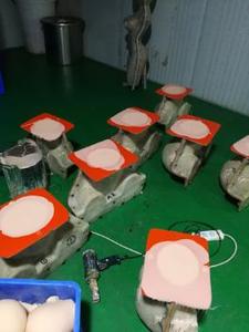 Réaliste mâle femelle <span class=keywords><strong>Fleshlight</strong></span> électrique main vibrant Gay Anal araignée pénis masturbateur Production Machine de fabrication - Product Image 2