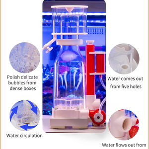 Écrémeuse de protéines ZKSJ REEF ROYAL avec pompe sans balais 24V DC pour filtration d'aquarium marin et de réservoir de récif, fabricant ODM OEM - Product Image 3