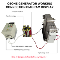 Stérilisateur à ozone industriel portable de 50 g pour la conservation des aliments en stockage frigorifique