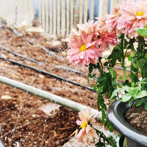 <span class=keywords><strong>Tube</strong></span> de micro-pulvérisation à débit stable DaringFish pour tuyau plat d'irrigation en jardin - Product Image 3
