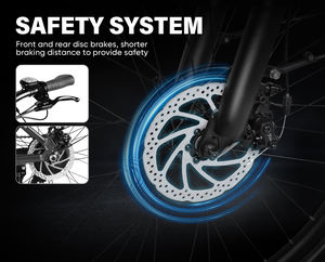 Livraison Gratuite Entrepôt UE Moteur Moyeu Arrière Grande Autonomie 36V 15Ah Moteur Électronique Puissant Vélo de Ville Électrique - Product Image 6