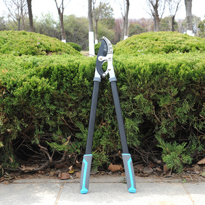 Lopping <b>Shears</b> Steel Blade 20-30 Mm Trimming Diameter Blue Handle Garden Pruning <b>Tool</b> - Product Image 1