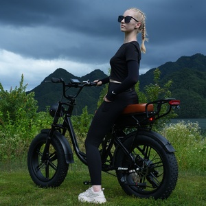 Zerogo 2025 V3 Bicicleta Eléctrica de Montaña de Estilo Retro con Doble Motor y Doble Batería de 48v 15ah, Suspensión Completa, 250w, Precio de Fábrica, Color V3 Sc - Product Image 5