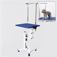Table de toilettage pneumatique portable pour animaux de compagnie avec roues, table de beauté pour chiens à levage hydraulique, plateau antidérapant pour toilettageurs mobiles