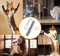 Titik Merah cahaya LED proyeksi Laser Playpen USB tongkat isi ulang 5 pola penunjuk Laser kucing mainan