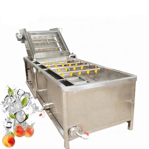Macchina Automatica per la Pulizia di Verdure a Bolle Lavatrice per Frutta e Verdura per Uso Industriale - Product Image 1