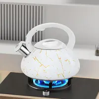 Wholesale Full Size 3.0L Big Size Stainless Steel Water Boiler Whistling Tea  Kettle with Purple Painting - China Stainless Steel Kettle and Whistling  Kettle price