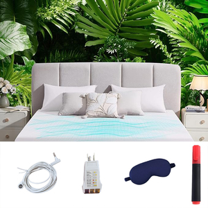 Nền tảng tấm 5% Tinh Khiết Bạc sợi + 400 chủ đề đếm Hữu Cơ bông mềm trái đất nền tảng giường được trang bị tấm - Product Image 2