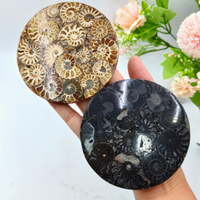 Décoration d'intérieur bohème, plaque d'ammonite noire, pierre de guérison Reiki, cadeau géologique, disque d'ammonite avec support