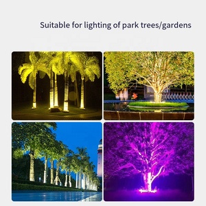 ไฟเสา DMX 512 แบบวงแหวน ไฟติดต้นไม้ RGB ไฟสปอตไลท์ LED สำหรับภายนอกอาคาร กันน้ำระดับ IP65 ใช้ไฟ DC24V ไฟวงแหวนสำหรับตกแต่งภูมิทัศน์ - Product Image 3