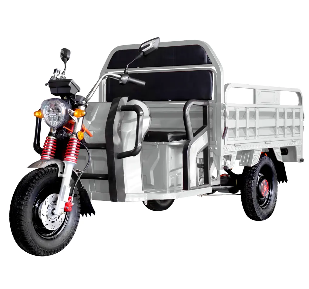 Adulti Cargo triciclo trasporto 3 ruote Scooter elettrico per il trasporto merci e espresso