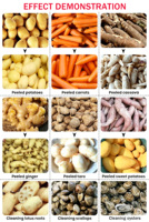 Automatische Aardappelschilmachine Wasmachine Wortelreinigingsmachine Borstelrol Groenteschiller En Wasmachine