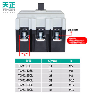 Interruptor de Circuito en Caja Moldeada Tianzheng TGM1, 3P 4P 100A 250A 400A, Interruptor Térmico Magnético de Bajo Voltaje - Product Image 2