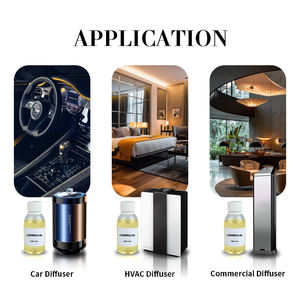 100% Pure Lemongrass Huile Essentielle Aromathérapie Parfum Vaporisateur Quantité Grande Remise - Product Image 2