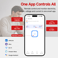 1P+N 63A 110V 220V Ewelink Wifi Smart Switch Pengukur Energi Meter Kwh Pemutus Sirkuit Timer Relay untuk Rumah Pintar