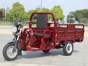 New EEC CE EC COC 3 Wheel Tricycle Small Tuk Tuk Electric Cargo Tricycle