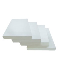 Feuille de PTFE de 12 à 50 mm d'épaisseur, 1200 mm x 1200 mm, avec propriétés antiadhésives, facile à nettoyer, service de découpe disponible