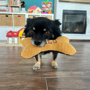 YY kemik köpek oyuncak Pet noel interaktif köpek oyuncak dayanıklı köpek oyuncaklar Pet aksesuarları - Product Image 4