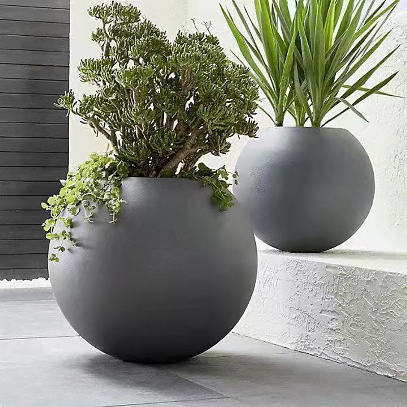 Vaso per orchidee in plastica trasparente con fori di drenaggio