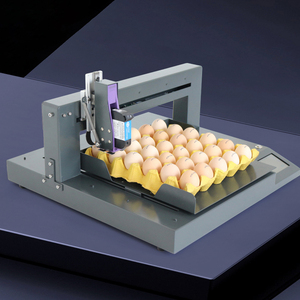 DP1-150-600 Tự Động Trứng Máy Bay Phản Lực Máy In Cao 600Dpi Nhanh Khô Máy In Phun Cho Ngày Hàng Loạt Số Đồ Họa Logo Chim Bồ Câu Trứng - Product Image 1