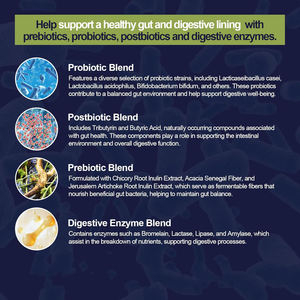 Berberin, tarçın, l-glutamin, sindirim bağırsak desteği için sindirim enzimleri ile 80 milyar CFU probiyotik prebiyotik kapsüller - Product Image 6