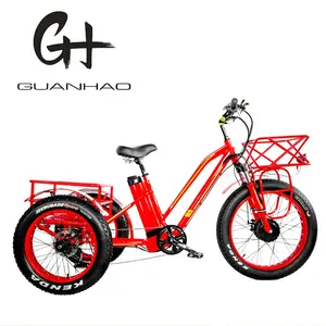 750W 8FUN Motor delantero 48V21AH Batería de litio Certificado CE 50 KM/H Velocidad Pedicab eléctrico 24-20 pulgadas Neumático de nieve gordo Cargo E Trike