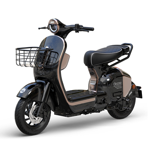 Motocicleta de Alto Rendimiento con Doble Asiento y Largo Alcance, 1000W 60V20ah, para Adultos - Product Image 4