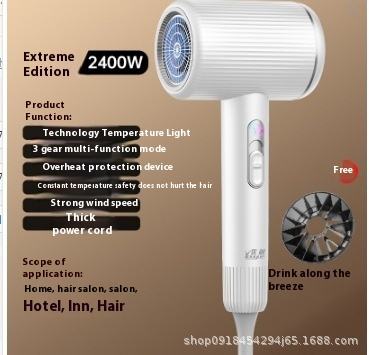 Y10ซิงเยว่สีขาว2400W + หัวฉีดลมเครื่องเดียว