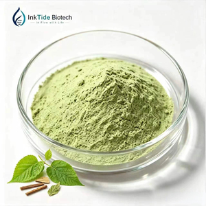 Extracto de Hoja de Morera en Polvo 10:1 20:1 Directo de Fábrica, Extracto Natural de Hoja de Morus Alba de Grado Alimenticio para Fórmula Alimentaria, Materia Prima - Product Image 1