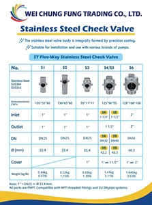 Spring Check Valve SUS304 Backflow Preventer 1" NPT Threaded Stainless Steel for Water Pipeline PN16 - Product Image 3
