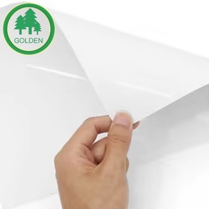 Papel LWC de Calidad Premium, Bajo Gramaje, Papel Estucado Ligero para Impresión de Revistas y Publicaciones, Mercado Estadounidense - Product Image 1
