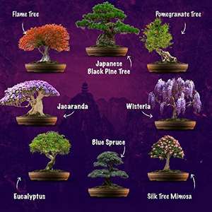 ชุดปลูกต้นบอนไซขนาดเล็ก8ต้นมีตราสินค้าสำหรับสวนของขวัญคริสต์มาส - Product Image 3