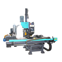 Machine de poinçonnage CNC Raintech, machine de marquage de plaques d'acier, machine de perçage CNC pour le traitement des plaques lourdes