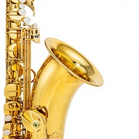 Profesional Bb Tenor Saxophone Gold Lacquer Surface Brass Body B-flat Bakelite Mouthpiece Woodwind Instruments with Accessories