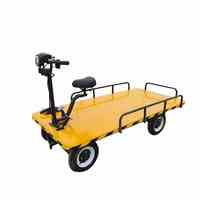 LS-MonsterC Transporteur de marchandises agricoles, petit camion électrique à plateau, mini chariot électrique, chariot utilitaire à quatre roues