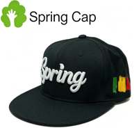 Gorra de Béisbol Unisex con Visera Plana, Diseño Personalizado ODM, 6 Paneles, Algodón Negro, Logotipo Bordado en 3D, Cierre a Presión
