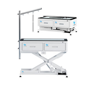 Tavolo da Toelettatura Elettrico Sostenibile a LED con Altezza Regolabile per Cani di Grossa Taglia e Gatti di Piccola Taglia in Ferro con Alimentatore Incluso - Product Image 1